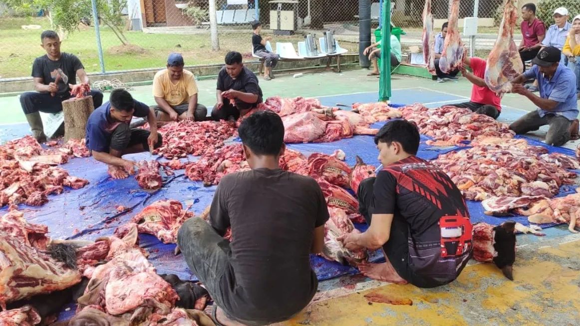 7 Tips Menyimpan Daging Kurban Agar Awet, Empuk, Tidak Bau dan Tahan Lama